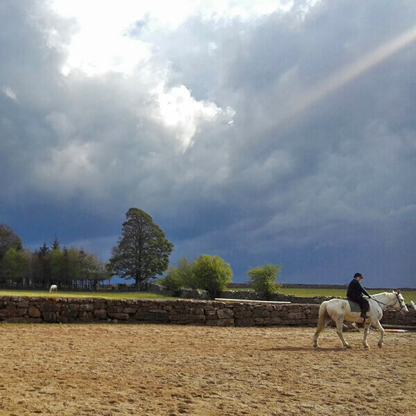 Jill McClabb_Horse Shopping in Ireland